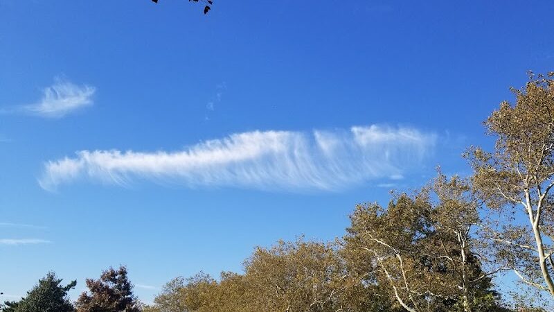 Kissena Corridor Park - Fresh Meadows, NY