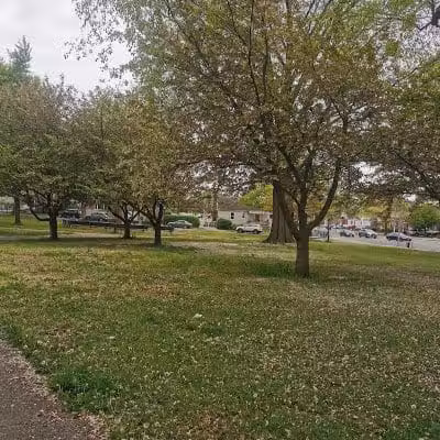 Kissena Corridor Park - Fresh Meadows, NY