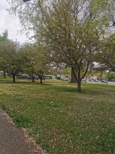 Kissena Corridor Park - Fresh Meadows, NY