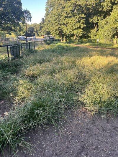 Cunningham Park Dog Run - Fresh Meadows, NY