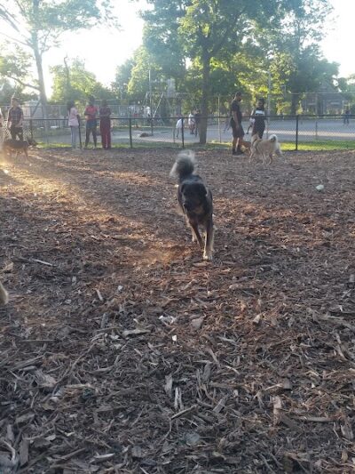 Cunningham Park Dog Run - Fresh Meadows, NY