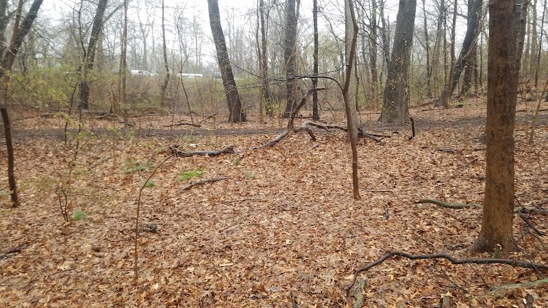 Cunningham Park Dog Run - Fresh Meadows, NY