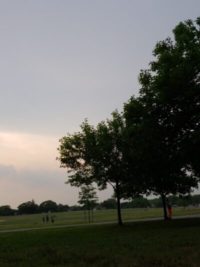 Cunningham Park Dog Run - Fresh Meadows, NY