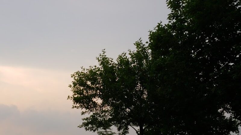 Cunningham Park Dog Run - Fresh Meadows, NY