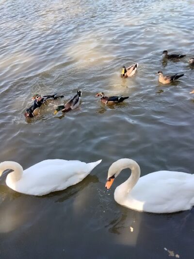 Kissena Park - Fresh Meadows, NY