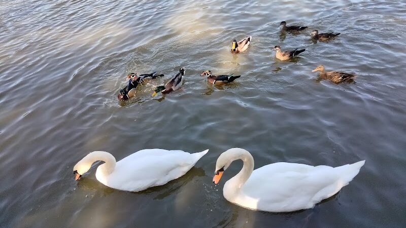 Kissena Park - Fresh Meadows, NY