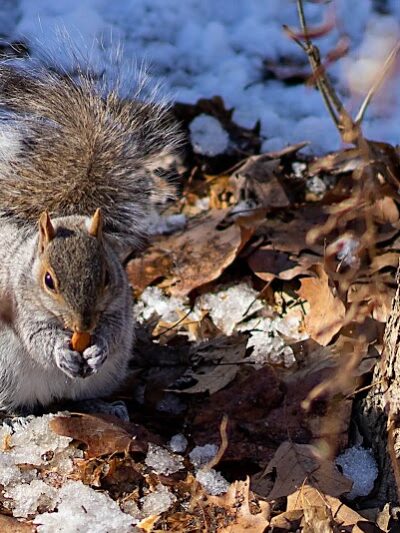 Kissena Park - Fresh Meadows, NY