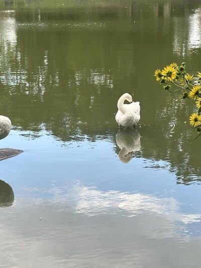 Kissena Park - Fresh Meadows, NY