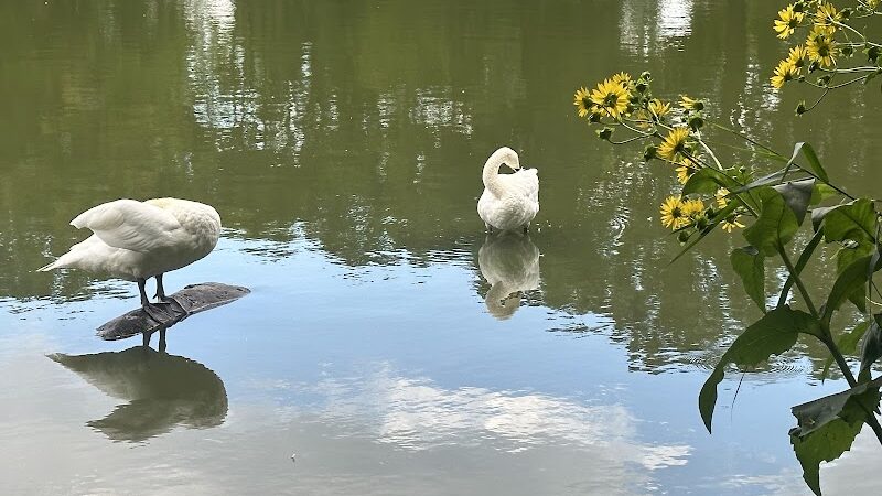 Kissena Park - Fresh Meadows, NY
