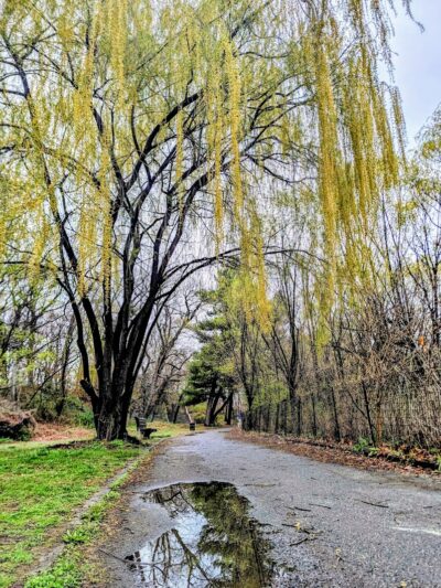 Kissena Park - Fresh Meadows, NY