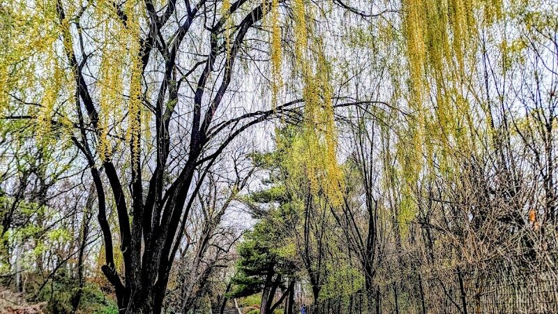 Kissena Park - Fresh Meadows, NY