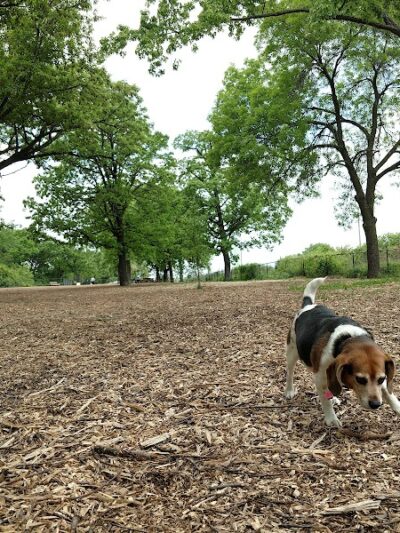 Locke County Dog Park - Fridley, MN