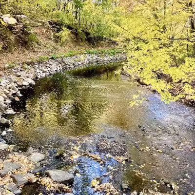 Locke County Dog Park - Fridley, MN