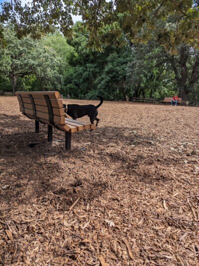 Locke County Dog Park - Fridley, MN