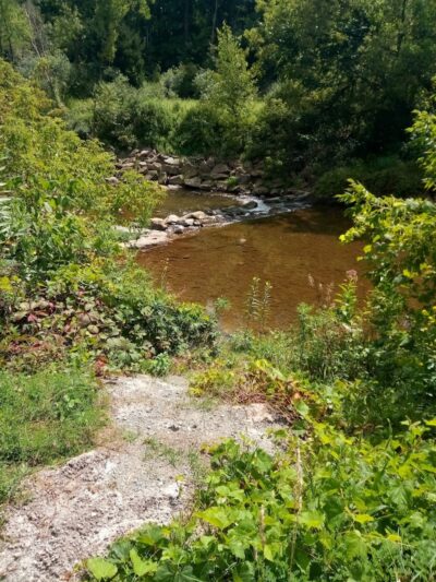 Island Park - Friendship, NY