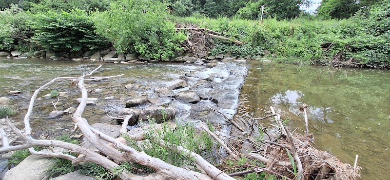 Island Park - Friendship, NY