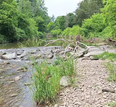 Island Park - Friendship, NY