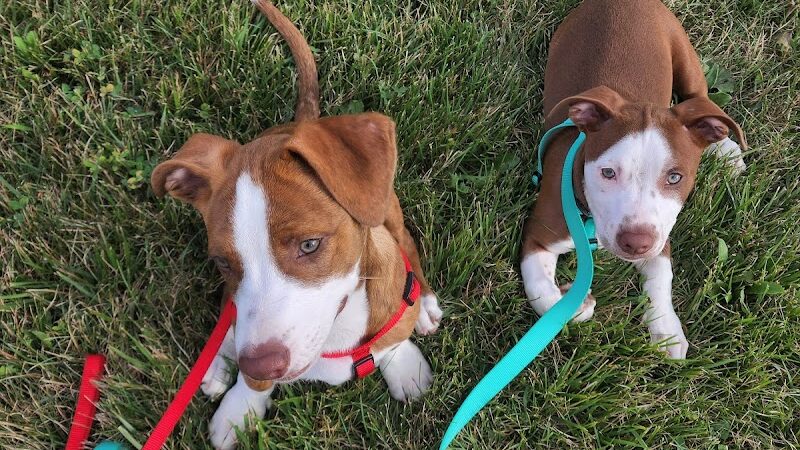 Parris N. Glendening Recreation Complex - Frostburg, MD