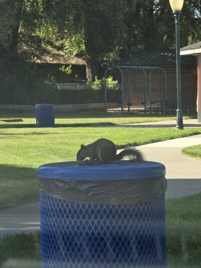 Fruitland Community Park & Splashpad