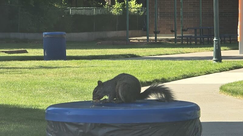 Fruitland Community Park & Splashpad