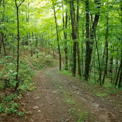 Max V. Shaul State Park - Fultonham, NY