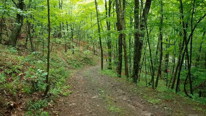 Max V. Shaul State Park - Fultonham, NY