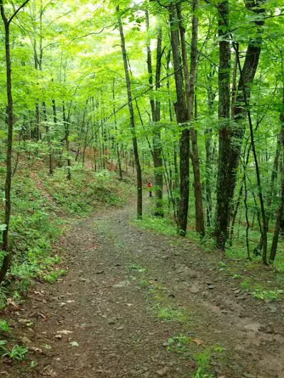Max V. Shaul State Park - Fultonham, NY