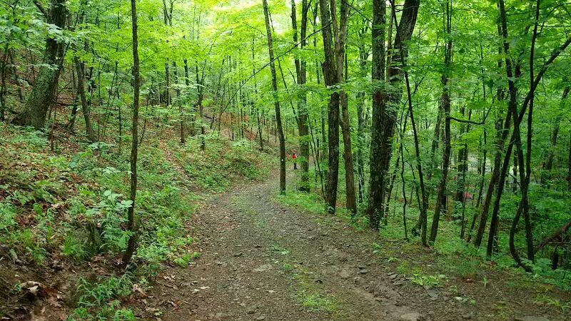 Max V. Shaul State Park - Fultonham, NY