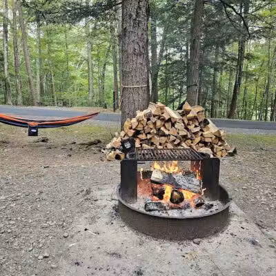 Max V. Shaul State Park - Fultonham, NY