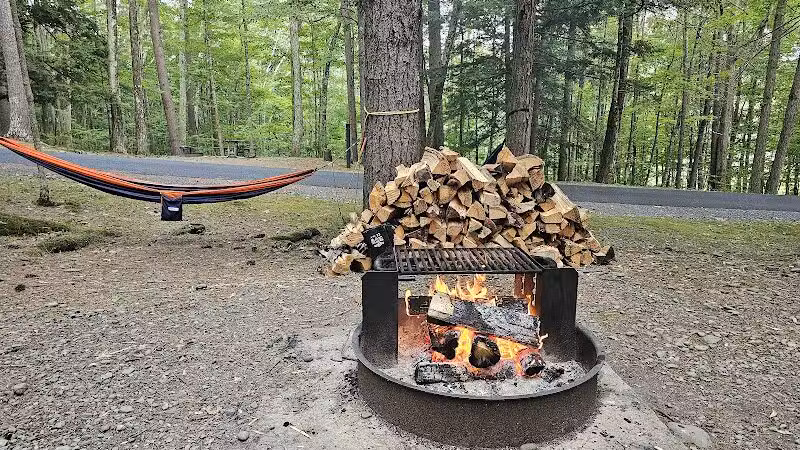 Max V. Shaul State Park - Fultonham, NY