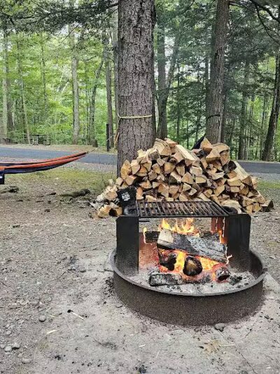 Max V. Shaul State Park - Fultonham, NY