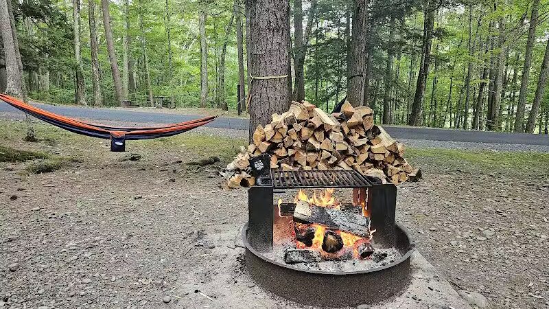 Max V. Shaul State Park - Fultonham, NY