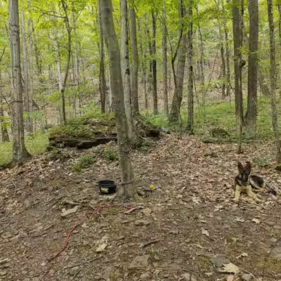 Max V. Shaul State Park - Fultonham, NY