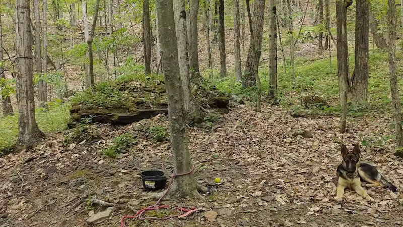 Max V. Shaul State Park - Fultonham, NY