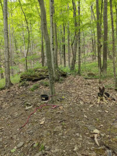 Max V. Shaul State Park - Fultonham, NY