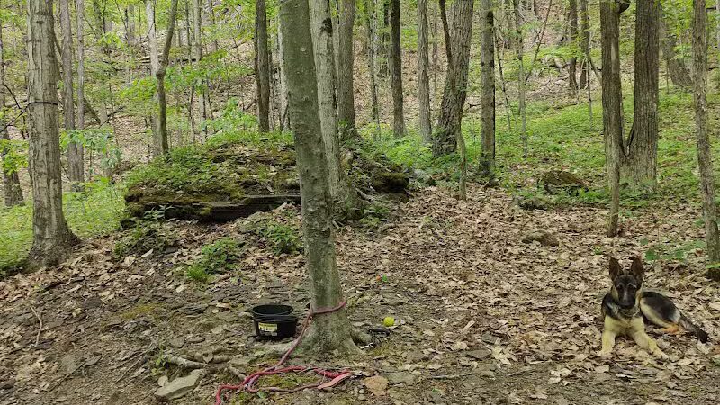 Max V. Shaul State Park - Fultonham, NY