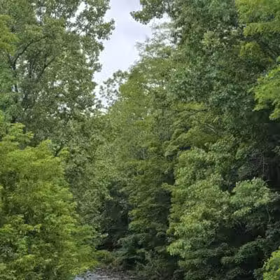 Max V. Shaul State Park - Fultonham, NY