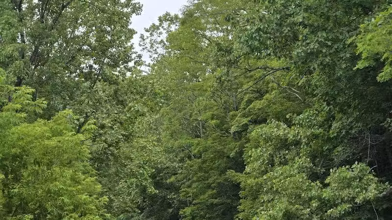 Max V. Shaul State Park - Fultonham, NY