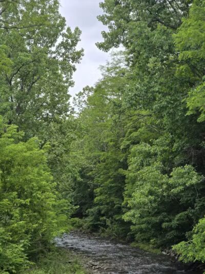 Max V. Shaul State Park - Fultonham, NY