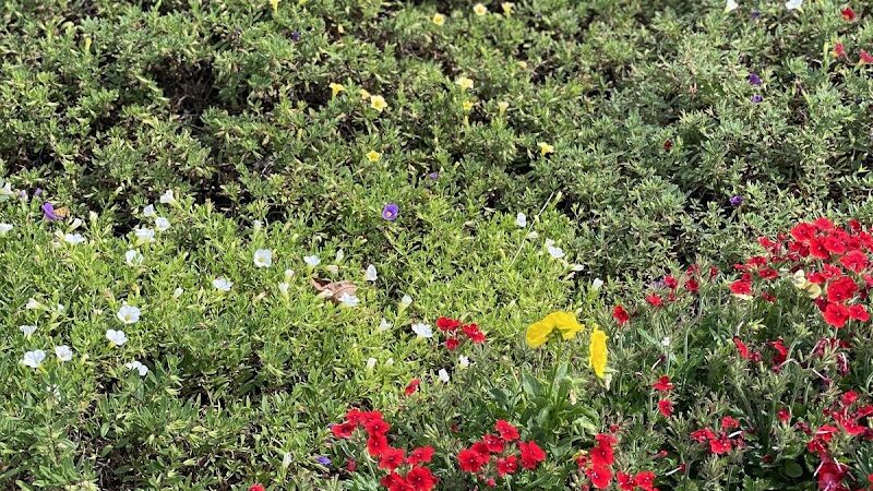 Jolly Park - Gaffney, SC