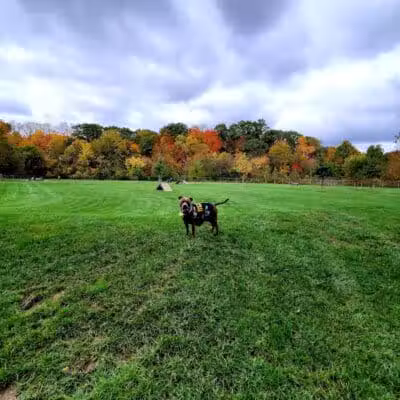 Pizzurro Park - Gahanna, OH