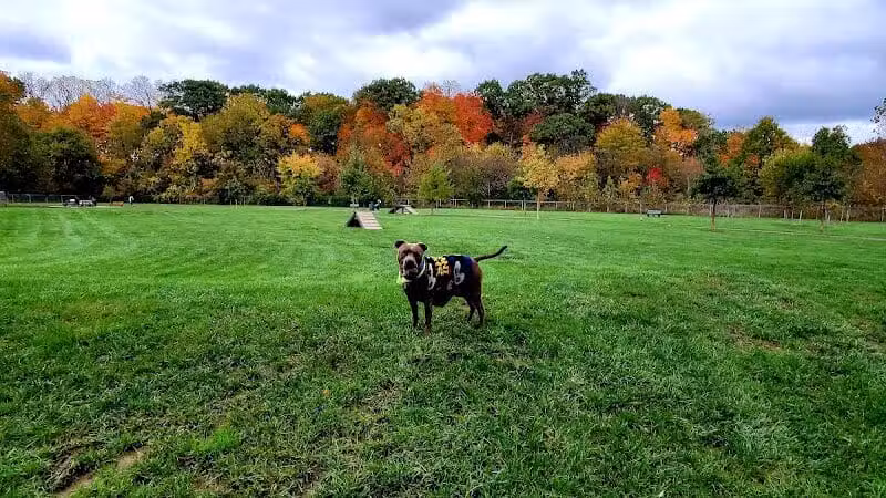 Pizzurro Park - Gahanna, OH