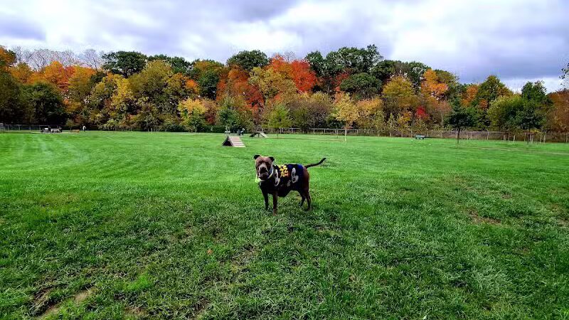 Pizzurro Park - Gahanna, OH