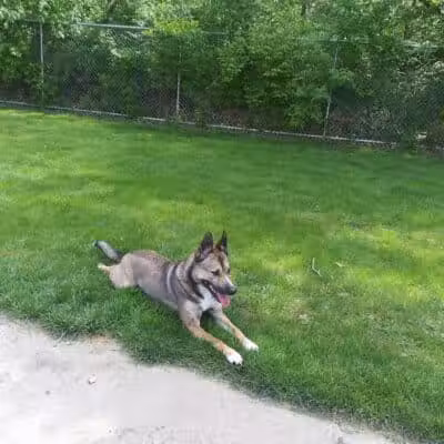 Pizzurro Park - Gahanna, OH