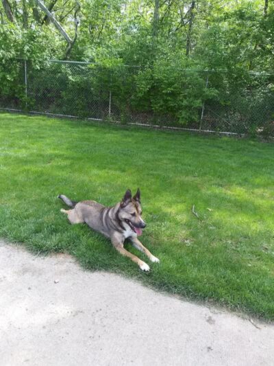 Pizzurro Park - Gahanna, OH