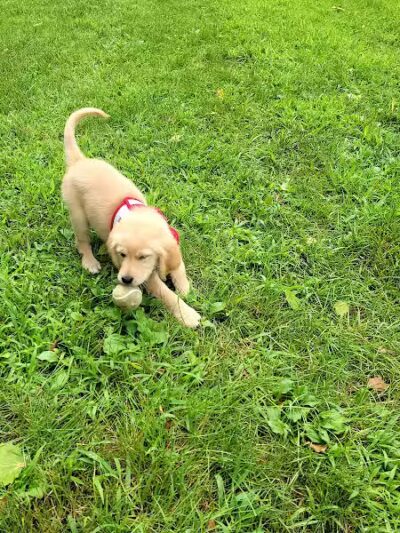 Pizzurro Park - Gahanna, OH