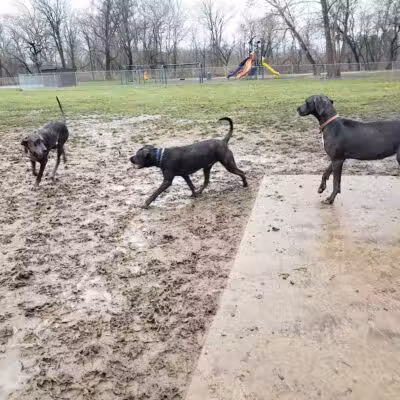 Pizzurro Park - Gahanna, OH