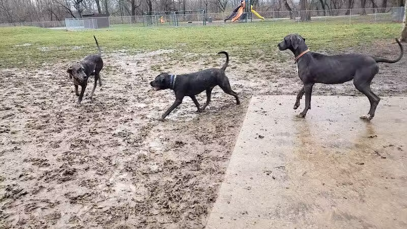 Pizzurro Park - Gahanna, OH