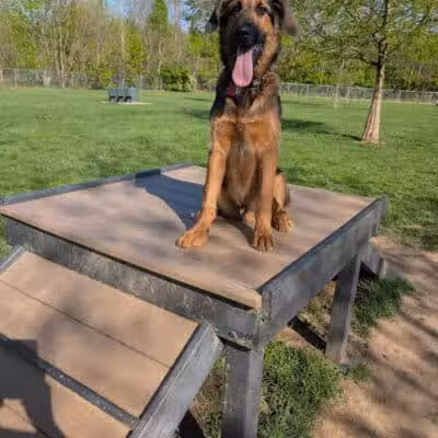 Pizzurro Park - Gahanna, OH