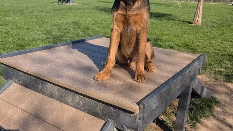 Pizzurro Park - Gahanna, OH